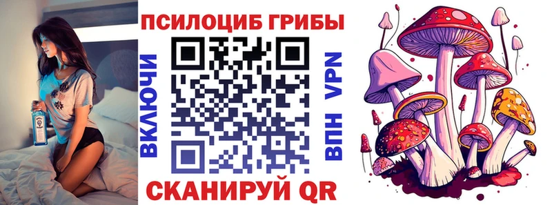 Псилоцибиновые грибы мицелий Минусинск