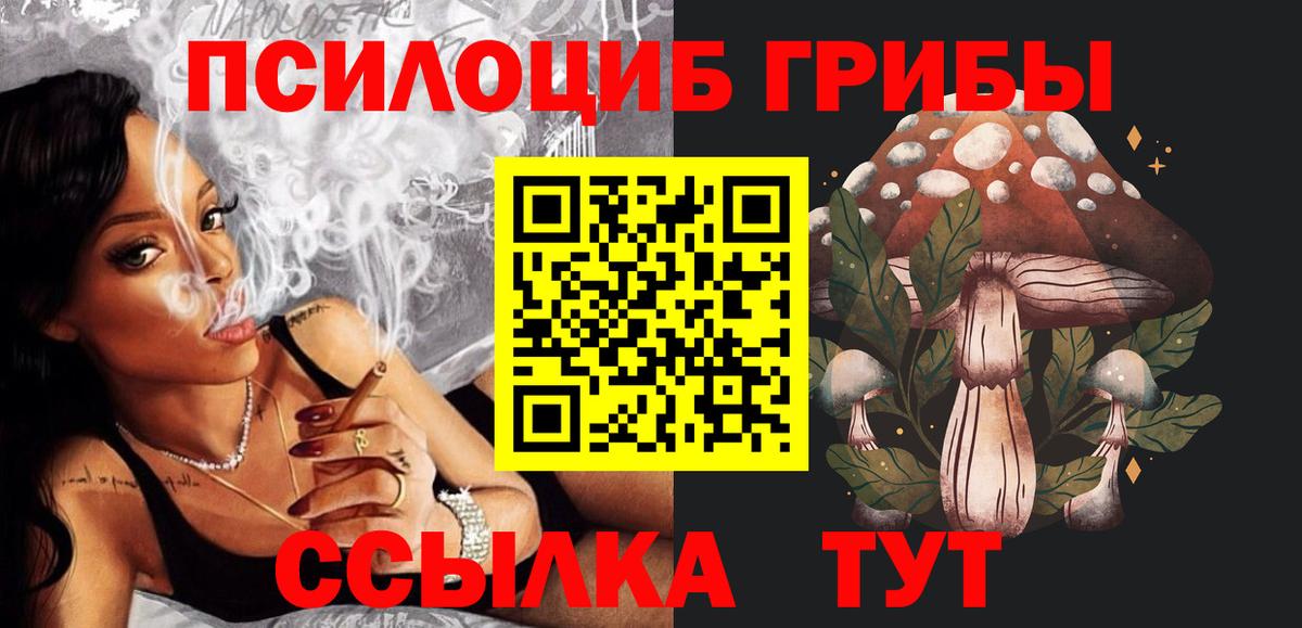 Минусинск  где можно купить   Вход с VPN  Псилоцибиновые грибы прущие грибы 